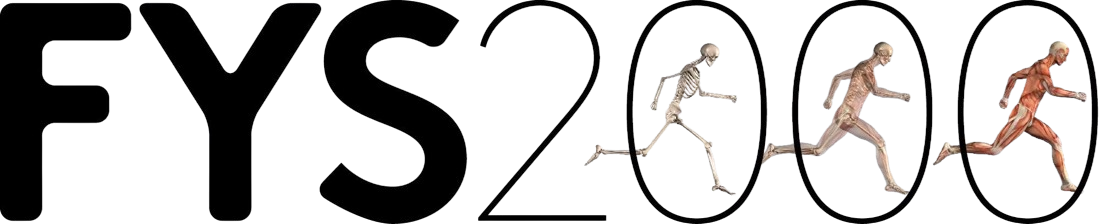 logo_fys2000